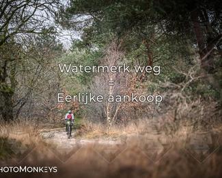 Drenthe 200 Extreme Marathon photo