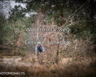 Drenthe 200 Extreme Marathon photo