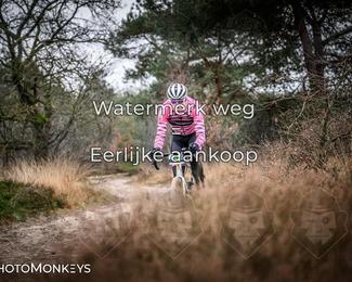 Drenthe 200 Extreme Marathon photo