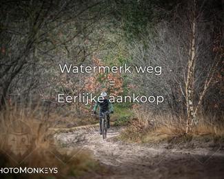 Drenthe 200 Extreme Marathon photo