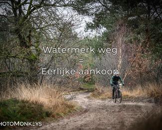 Drenthe 200 Extreme Marathon photo