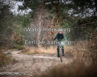 Drenthe 200 Extreme Marathon photo