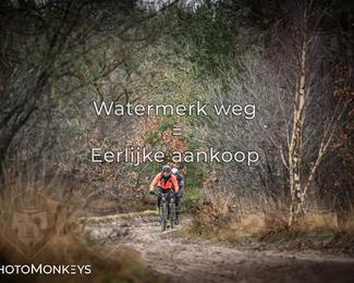 Drenthe 200 Extreme Marathon photo