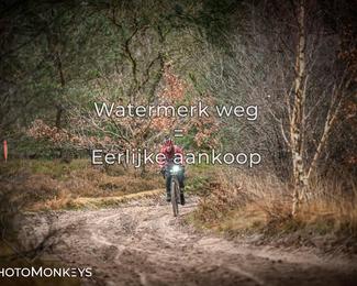 Drenthe 200 Extreme Marathon photo