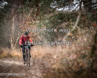 Drenthe 200 Extreme Marathon photo