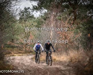 Drenthe 200 Extreme Marathon photo