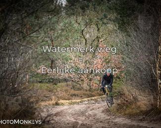 Drenthe 200 Extreme Marathon photo