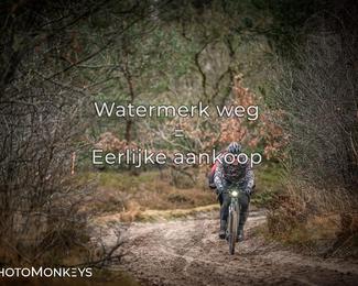 Drenthe 200 Extreme Marathon photo