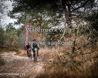 Drenthe 200 Extreme Marathon photo