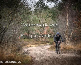Drenthe 200 Extreme Marathon photo