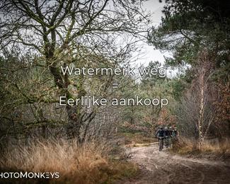 Drenthe 200 Extreme Marathon photo