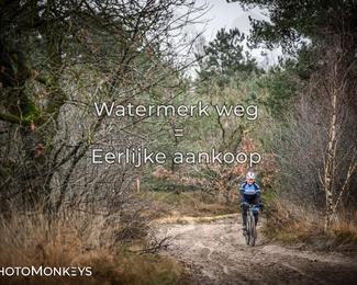 Drenthe 200 Extreme Marathon photo