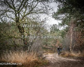Drenthe 200 Extreme Marathon photo