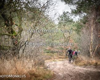 Drenthe 200 Extreme Marathon photo