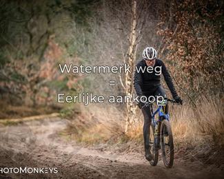 Drenthe 200 Extreme Marathon photo