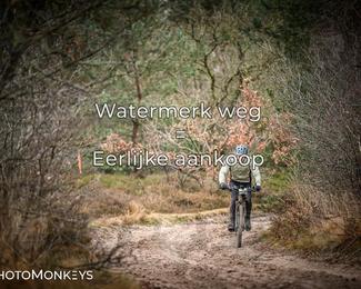 Drenthe 200 Extreme Marathon photo