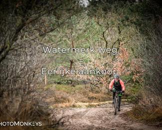 Drenthe 200 Extreme Marathon photo