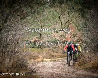 Drenthe 200 Extreme Marathon photo