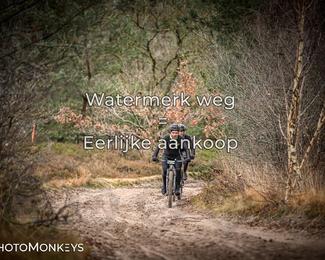 Drenthe 200 Extreme Marathon photo