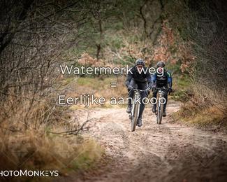 Drenthe 200 Extreme Marathon photo