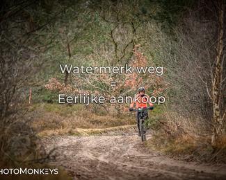 Drenthe 200 Extreme Marathon photo