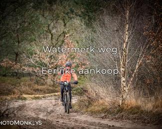 Drenthe 200 Extreme Marathon photo