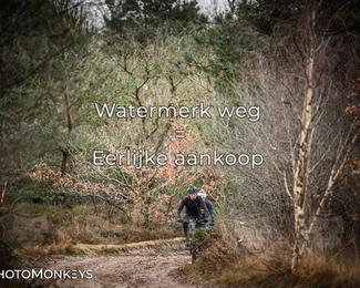 Drenthe 200 Extreme Marathon photo