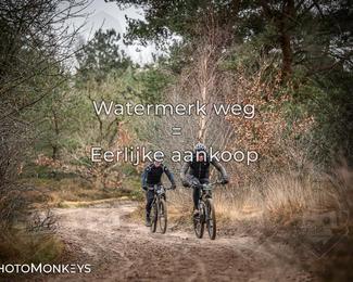Drenthe 200 Extreme Marathon photo