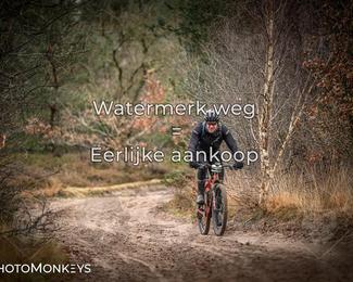 Drenthe 200 Extreme Marathon photo