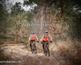 Drenthe 200 Extreme Marathon photo