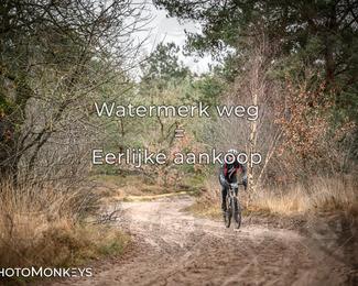 Drenthe 200 Extreme Marathon photo