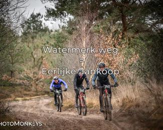 Drenthe 200 Extreme Marathon photo