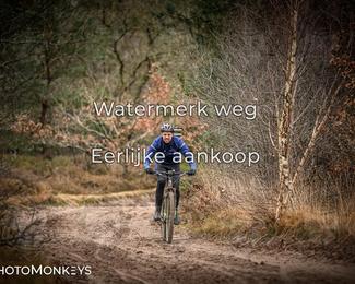 Drenthe 200 Extreme Marathon photo