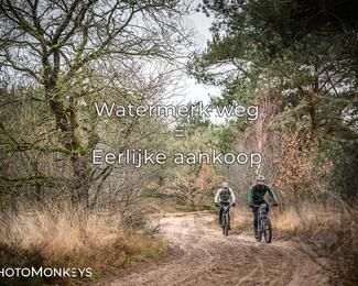 Drenthe 200 Extreme Marathon photo