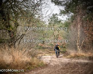 Drenthe 200 Extreme Marathon photo