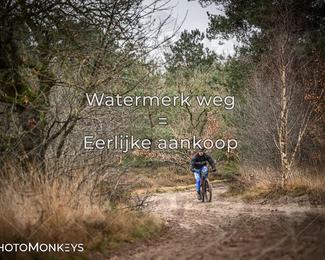 Drenthe 200 Extreme Marathon photo