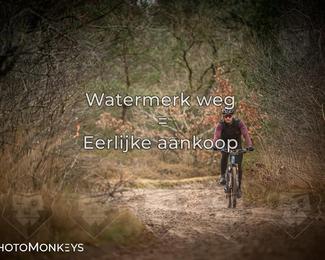 Drenthe 200 Extreme Marathon photo
