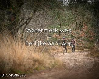 Drenthe 200 Extreme Marathon photo