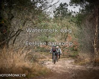 Drenthe 200 Extreme Marathon photo