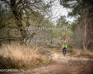 Drenthe 200 Extreme Marathon photo