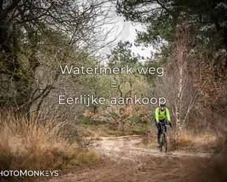 Drenthe 200 Extreme Marathon photo