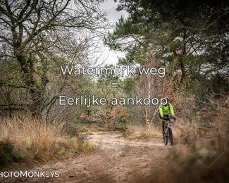 Drenthe 200 Extreme Marathon photo