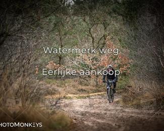 Drenthe 200 Extreme Marathon photo