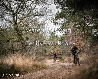 Drenthe 200 Extreme Marathon photo