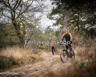 Drenthe 200 Extreme Marathon photo