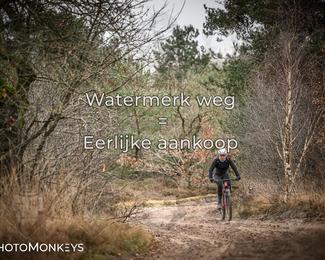 Drenthe 200 Extreme Marathon photo