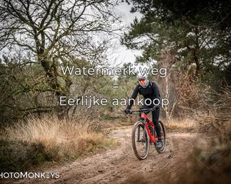 Drenthe 200 Extreme Marathon photo