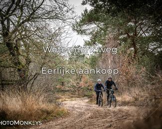 Drenthe 200 Extreme Marathon photo