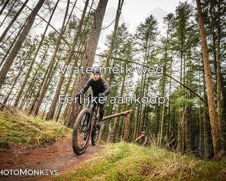 Drenthe 200 Extreme Marathon photo