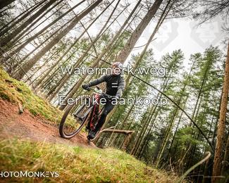 Drenthe 200 Extreme Marathon photo